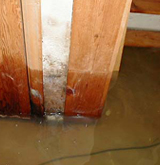 Water Damage Restoration