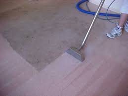 Encino carpet cleaners